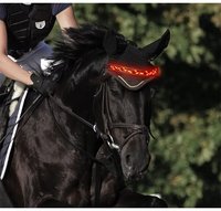 Collier lumineux LED Argyle pour cheval, en polyester rembourré, avec fermeture à boucle/bouton, style classique et tendance, vente en gros usine