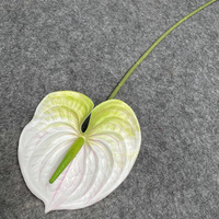 Fleur décorative artificielle Anthurium rouge en plâtre souple, style palmier, moderne, écologique, réutilisable, accessoire photographique