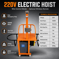 Treuil électrique 220V avec panier de levage pour une personne, capacité 250kg, moteur 1500W, vitesse 14m/min, commande par câble pour la construction