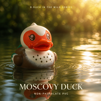 B.DUCK Série Sauvage Canard Moscovy Figurine PVC Flottante OEM Boîte Mystère Personnalisée