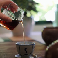 Teh Puer Matang Langsung dari Pabrik  Pohon Kuno Yunnan yang Berharga  untuk Kecantikan & Kesehatan  Mudah Dibuat  Dapat Disesuaikan