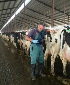 JM-808F bas <span class=keywords><strong>prix</strong></span> Offre Spéciale Portable vétérinaire testeur de grossesse animale Machine à ultrasons pour bovins vache porc mouton - Product Image 3