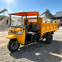 Ferme Construction Site Ménage Logistique Fret Cargo Box Auto-Déchargement Diesel Hydraulique Agricole Transport Tricycle