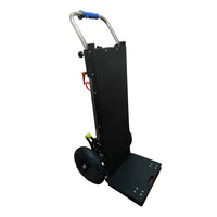 Machine de grimpeur de pas électrique de qualité supérieure de 400kg