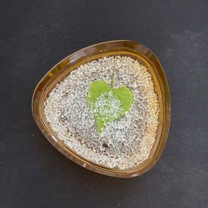 Catégorie nanoe CM207 de poudre blanche crue de granules en plastique de haut transparent de PMMA - Product Image 2