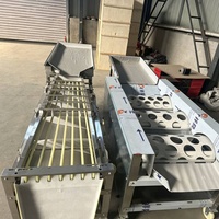 Industriële fruit sorteermachine, roltype, maatselectie sorteerder, appel, sinaasappel, aardappel, ui verwerkingsapparatuur