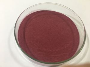 Nhà máy cung cấp đậu đen hull Bột Đậu Đen vỏ chiết xuất bột đậu đen vỏ chiết xuất - Product Image 3