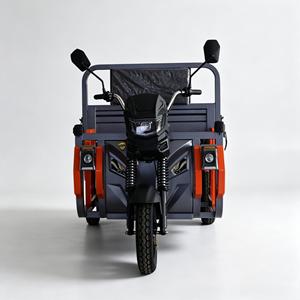 Tricycles à prix d'usine, capacité de charge de 700 kg, peinture 3C3B pour revendeurs - Product Image 4