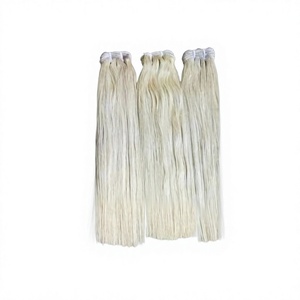 Extensions de cheveux vierges indiennes Remy 613 blondes à double trame - Product Image 1
