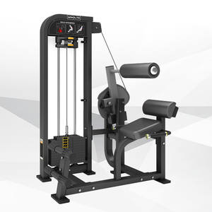 Pin chargé MND-<span class=keywords><strong>FM21</strong></span> exercice sport poids Commercial Gym Fitness équipement Machine dos Extension - Product Image 2