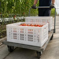 Panier de rangement pliable en plastique HDPE grande capacité, écologique, recyclable, empilable, pour fruits, vente en gros
