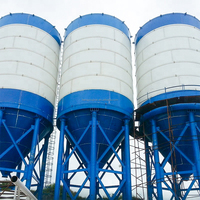 1000ton 2000ton calcestruzzo fondazione Silo prezzi Silo di cemento con nastro trasportatore a vite con una scala