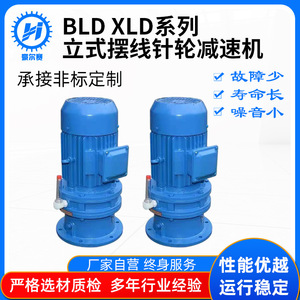 Reductor de Velocidad Vertical Cicloidal de Una Etapa Serie BLDXLD de Changzhou Hauser, Relación 43 - Product Image 5