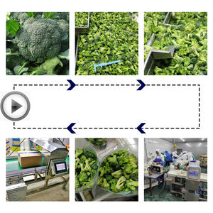 Китайский поставщик, заводская цена, замороженные брокколи, IQF овощи, органические - Product Image 2