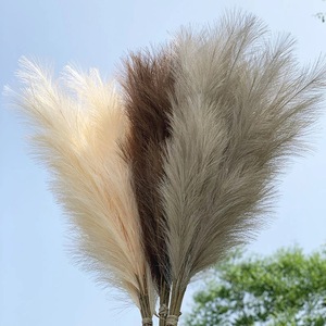 Botte de roseaux des marais artificiels, 10 pièces, décoration en peluche, pour mariage, prix de gros - Product Image 6