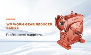 Supror nhà máy <span class=keywords><strong>Worm</strong></span> <span class=keywords><strong>Gear</strong></span> <span class=keywords><strong>Reducer</strong></span> WPA WPS wpo wpx <span class=keywords><strong>wpw</strong></span> 40/50/60/70/80/100/135 phù hợp cho truyền đạt Bao bì thiết bị nâng hạ vv - Product Image 6