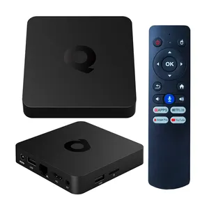Q1 H313 4k HD 비디오 디코더 미디어 플레이어 듀얼 와이파이 ATV 안드로이드 스마트 TV 박스 Q1 음성 입력 검색 리모컨 포함