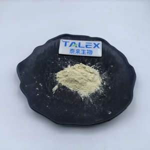 Quinoa Protein 80% Quinoa Extract Quinoa Protein <b>Powder</b> - Product Image 3