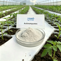 YIDA Biotech Actinomycetes Acide Humique en Poudre Biofertilisant Inoculant Microbien de Rhizosphère pour l'Amélioration du Sol Agriculture Biologique