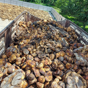 Copa de Vietnam Lump Rubber 65-70% DRC | Látex de alta pureza | Precios globales competitivos - Product Image 1