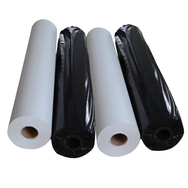 Exceptional Quality High Resolutions Images Transferred Japan Thermal Transfer Paper Printing