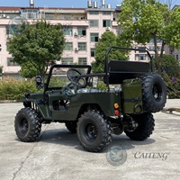 Voitures d'occasion Caiteng, mini-jeep électrique à 2 places, homologué pour la route, buggy, 110cc, 150cc, transmission automatique à essence, Dune