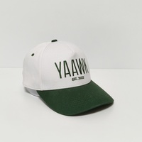 Gorra de Béisbol Personalizada de Dos Tonos, 5 Paneles, 100% Algodón, Venta al Por Mayor Directa de Fábrica, Logotipo Bordado a Mano Personalizado