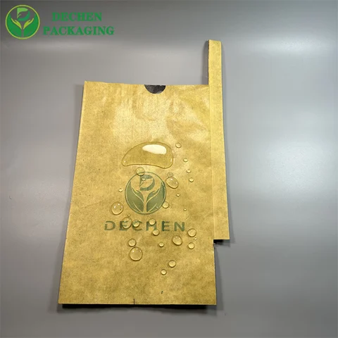 Mango Paper Bag Factory for Mango Paper Bag Exporter - Efficient & Global