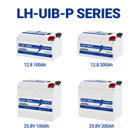 Batterie lithium-ion 25,6 V 100 Ah à coque en fer, remplacement de la batterie au plomb-acide pour système de panneaux solaires et alimentation de secours