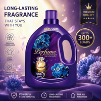 Détergent Liquide Premium Personnalisé OEM/ODM, Vente Chaude, Écologique, Portable, Parfum Floral Lavande, Ingrédients Naturels pour Vêtements