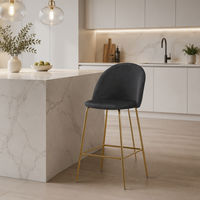 Tabouret de bar moderne et écologique en métal avec structure en acier inoxydable et assise en velours pour restaurant