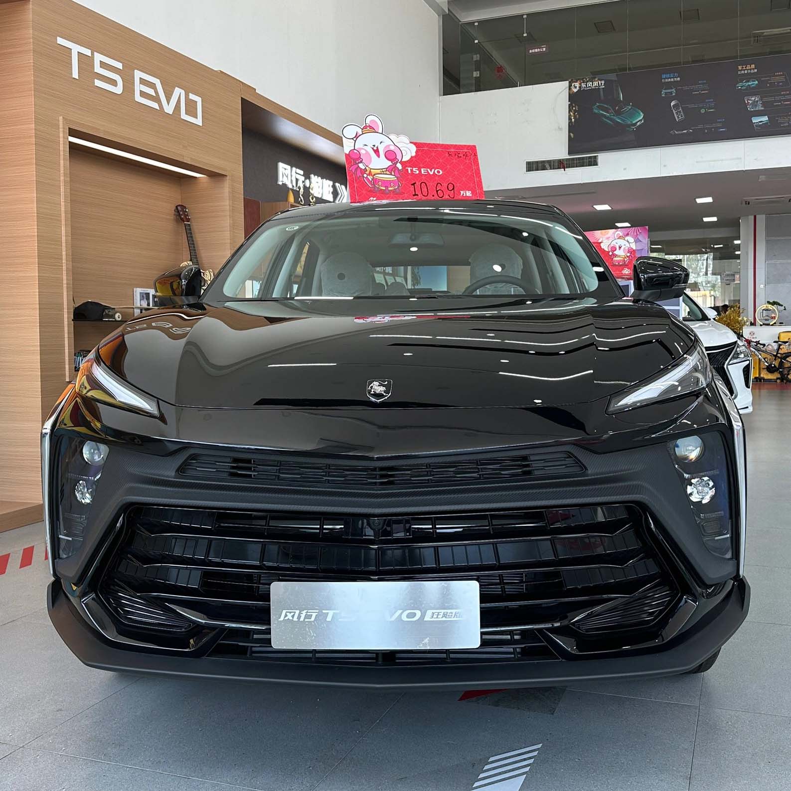 Dongfeng Fengxing t5 EVO