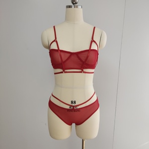 Set di Lingerie Sexy Trasparente in Pizzo di Alta Qualità, Reggiseno e Slip Femminili, Set Provocante per Passione e Flirt - Product Image 5