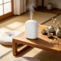 Humidificador de Aire con Fragancia Personalizada, Nebulizador Eléctrico Portátil de Escritorio, Humidificador de Aire Ultrasónico