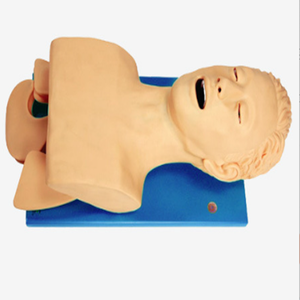 Maniquí electrónico de CIENCIA MÉDICA PARA intubación traqueal humana, maniquí CPR, modelo de entrenamiento, modelo de Maniquí de entrenamiento CPR - Product Image 6