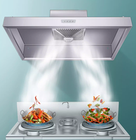 Système de hotte aspirante de cuisine commerciale en acier inoxydable