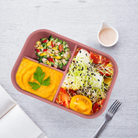 Boîte à lunch en silicone rectangulaire à 3 compartiments, facile à nettoyer, 700-1300 ml, compatible micro-ondes, réutilisable, avec couvercle, pour le travail et les voyages