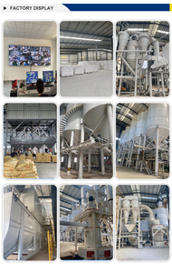 ผู้จัดจำหน่ายมะนาวแห้งเกรดอาหารจากประเทศจีน - Product Image 2