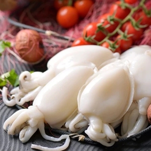 ปลาหมึกแช่แข็งแบบพิเศษสำหรับผู้นำเข้า - Product Image 4