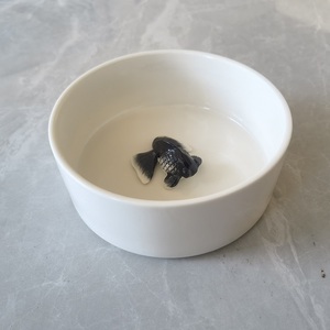 Bescera mangkuk hewan peliharaan berbentuk ikan mas, lucu manis putih mangkuk makan lambat Anti mencekik keramik mangkuk anjing pengumpan lambat - Product Image 3