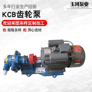 ปั๊มน้ำมันเกียร์สแตนเลส KCB18.3 สำหรับขายส่งและขายปลีก ใช้สำหรับน้ำมันงา ถั่วลิสง น้ำมันงาบด บะหมี่กึ่งสำเร็จรูป - Product Image 5