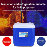 Glacière Isotherme Portable pour Camping et Pique-nique, pour Bouteilles de Bière et Aliments, en Plastique Rotomoulé PE, Motif Dessin Animé