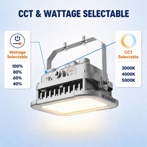 ไฟ LED ป้องกันการระเบิด UL FCC 60W 100W 200W IP66 IK10 ปรับค่า CCT ได้ ติดตั้งง่าย สำหรับพื้นที่อุตสาหกรรมอันตราย - Product Image 2