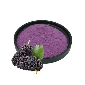 Mulberry Ingredient Cosmetic Grade Divinyltetramethyldisiloxane Mulberry Fruit Extract Powder