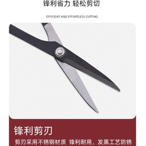 Nice <b>Pruning</b> Shears 55mm Stainless Steel Straight Head For Fruit <b>Trees</b> Flowers Gardening - Product Image 3