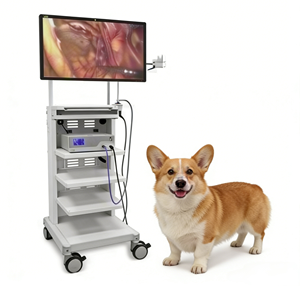 Moniteur endoscopique médical 4K HD de nouvelle conception pour chirurgie vétérinaire à prix avantageux - Product Image 1