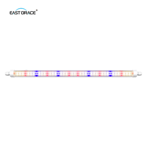 Dissipateur thermique en aluminium intégré 4000k haute puissance <span class=keywords><strong>LED</strong></span> Grow Light T8 Clone Lamp pour la <span class=keywords><strong>culture</strong></span> des plantes d'intérieur - Product Image 5