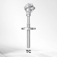 Sensor Tahanan Termal Digital Seri NCS-TC Termokopel RTD Pt100 Terpasang Output 4-20MA OEM/ODM IP65