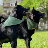 Bandana pour chien à carreaux avec logo personnalisé, faible MOQ, en coton, réglable, violet et marron, respirant, léger, vente en gros