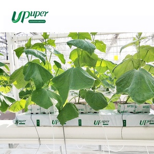 Plaques <span class=keywords><strong>de</strong></span> laine <span class=keywords><strong>de</strong></span> roche pour culture hydroponique bon marché UPuper - Product Image 6